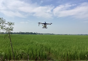 ICAR-NRRI-Drone-technology-02_1.jpg 