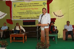IFS Model Village Development under STC (TSP) Project at Maova Village, Nagaland