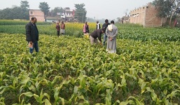 IIWM-ss-09-01-2020-4_0.jpg