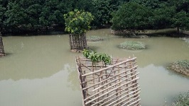 IIWM-ss-09-01-2020-7_0.jpg