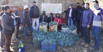 Integrated Nutrient Management in Broccoli coupled with Gravity-based Mini Sprinkler System in Mizoram 04_0_0.jpg