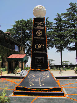 Memorial-Pillar-Rinderpest-Global-Eradication-02-06-2012-1