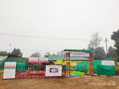 National Mushroom Day 2025 Celebrated
