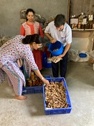Mushroom Cultivation - A Pathway to Economic Sustainability in Doon Valley of Uttarakhand 04