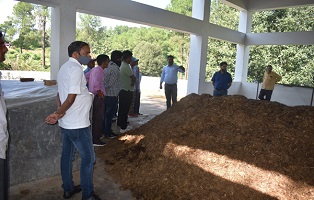 Mushroom-Cultivation-02