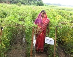 Institutional Mechanism and Technological Backstopping to Promote Women Entrepreneurship in Agriculture