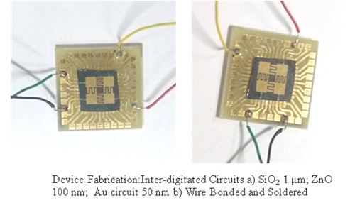 Engineered β-cyclodextrinylated Micro-Electromechanical System (MEMS) Devices as Sensors for Insect pheromones