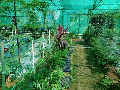 Organic-02-21082018