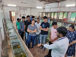 Ornamental-Fish-Culture-ICAR – CCARI-04.jpg 