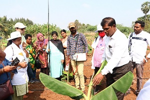 Phenotyping-drought-tolerance-01