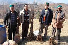 Plantingmaterial_0.jpg
