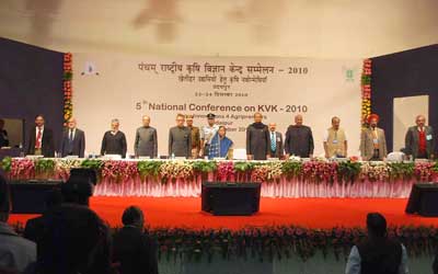 President-22-12-2010-3_1.jpg