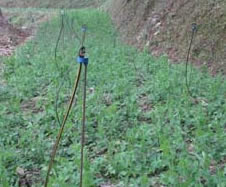 SS-01-09-2014-3_0.jpg