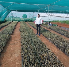 SachinJha-budding-Agri-entrepreneur-03