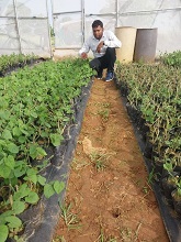 SachinJha-budding-Agri-entrepreneur-04