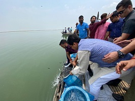 Sixty-thousand-fish-seeds-ICAR-CIFRI-01.jpg 