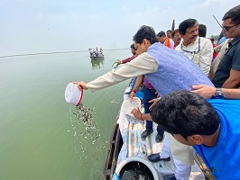 Sixty-thousand-fish-seeds-ICAR-CIFRI-03.jpg 