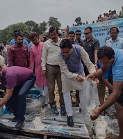 Sixty-thousand-fish-seeds-ICAR-CIFRI-04.jpg 