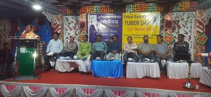 “Tuber Crops Day” organized