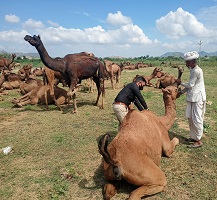 TSP-farmers-02