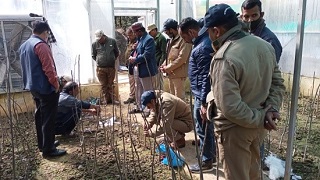 Training-Programmes-on-Quality-Planting-02