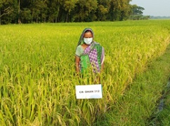 Women Empowerment and Gender Sensitization - Developing a Model for Bridging Gender Gap 01