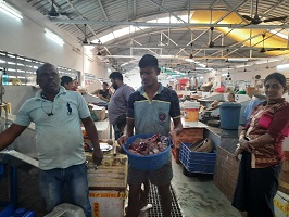 Zero-waste-fish-market-mode-03