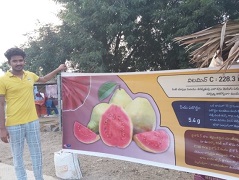 arkakiran3_0.jpg 