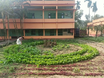 Gender-Friendly Keyhole Nutrition Gardens: Transforming Saline Homesteads into Nutri-Farms