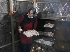 bkyardpollitery-04_0.jpg