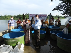 cfir-01-24092020.jpg