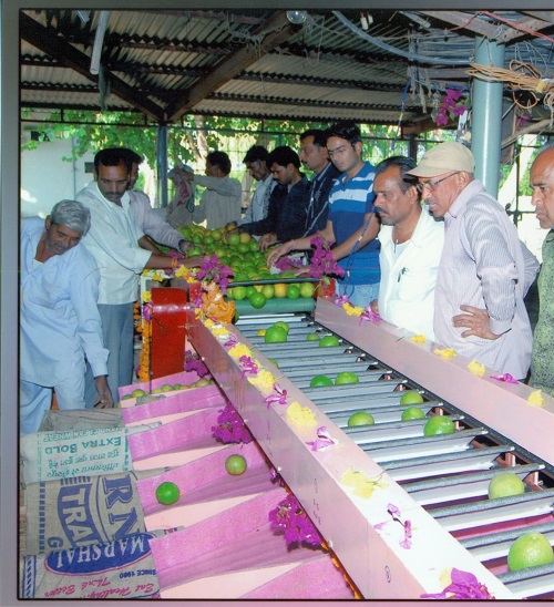 ciae_success_story_commercial_scale_fruit_grader_1_0.jpg