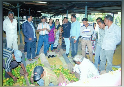 ciae_success_story_commercial_scale_fruit_grader_5_0.jpg