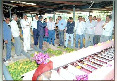 ciae_success_story_commercial_scale_fruit_grader_6_0.jpg