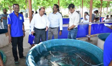 ICAR-CIFA, Bhubaneswar Organizes Fish Harvest Mela and Live Fish Sale