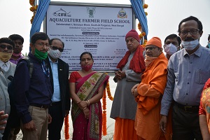 cifa-01-13012021.jpg