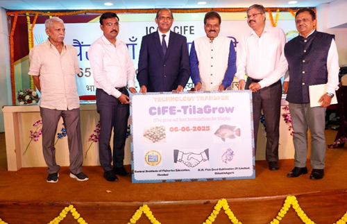 Release and Commercialization of CIFE-TilaGrow: A Specialized Grow-Out Feed for Tilapia Culture