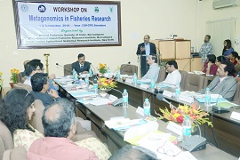 cifri-01-03122018.jpg