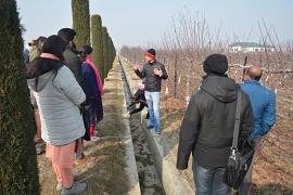 cith-02-24122018.jpg