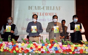 crijaf-02-09122021