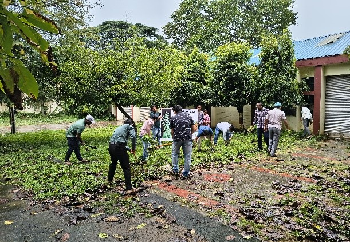 ICAR-CRRI Observes 20th Parthenium Awareness Week