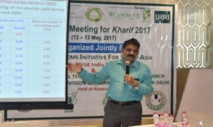 csisa-01-18052017