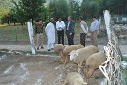 cswri-20-11-2013-1
