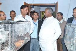 cswri-20-11-2013-2