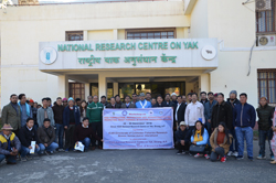 dcfr-31-12-2018-3.jpg