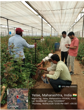 ICAR-DFR, Pune Organises Awareness Programme on Balanced Fertilizer Use among Rose Growers
