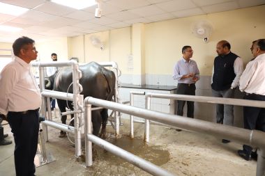 National Workshop on ‘Way Forward for Resilient Buffalo Farming’ Organised