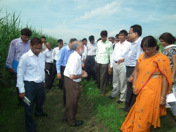 dg-visit-iisr-luknow-14-08-2012-1_0.jpg 
