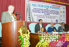 fao-01-07122017.jpg