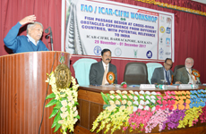 fao-02-07122017.jpg